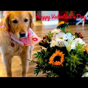 Happy Valentine’s Day!!!